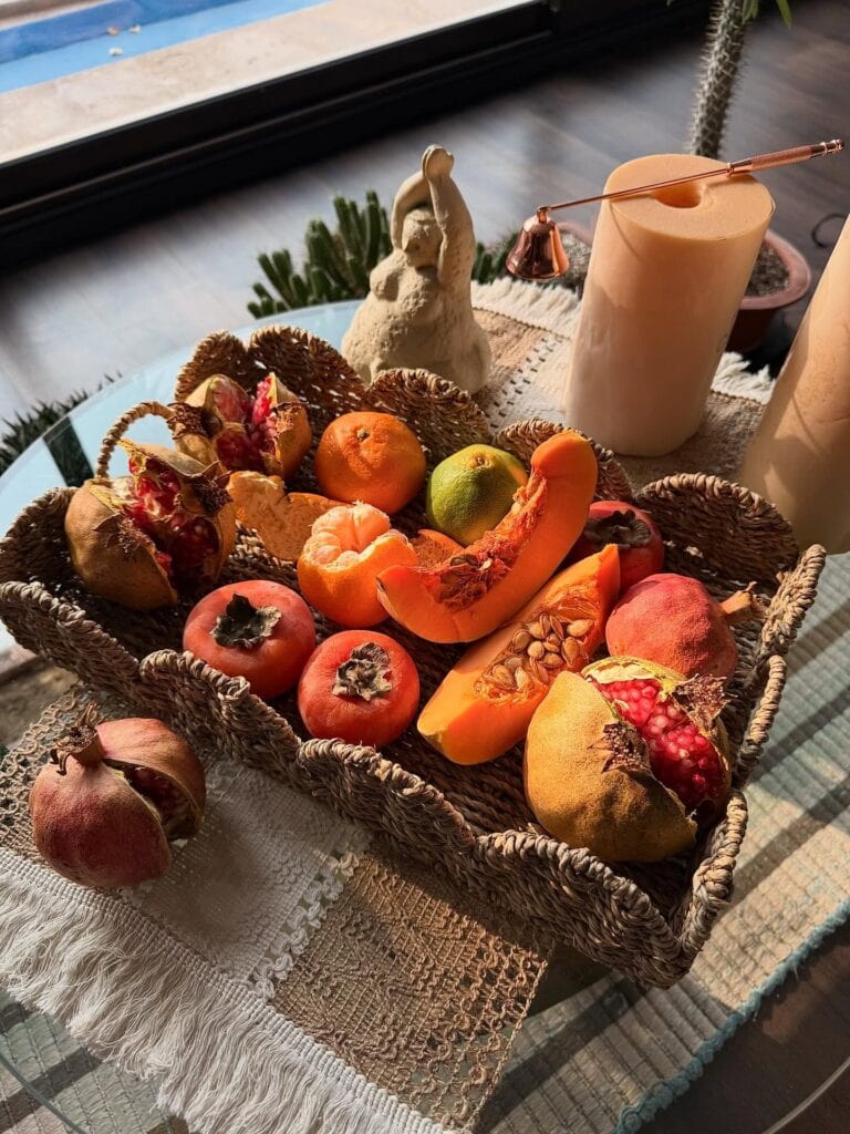 سینی و ارگانایزر راتان دالبر